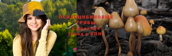мяу мяу мука Алзамай