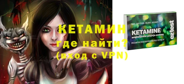 сатива Новодвинск
