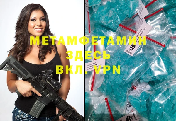 сатива Новодвинск