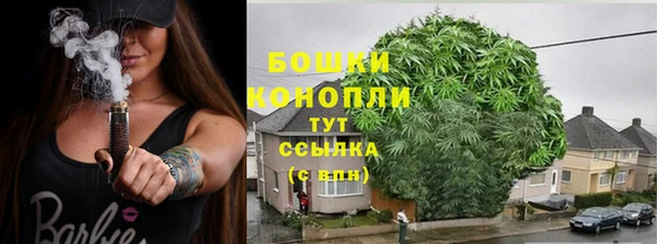 соль ск Новозыбков