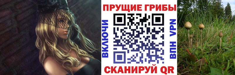 Галлюциногенные грибы GOLDEN TEACHER  цена   Бердск 